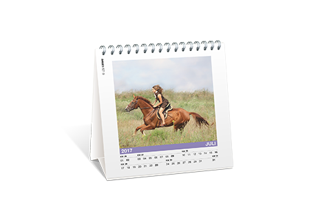 Fotokalender 2018 online gestalten  dm Foto-Paradies